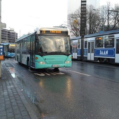Как пользоваться общественным транспортом в Таллине: автобусы, трамваи и троллейбусы