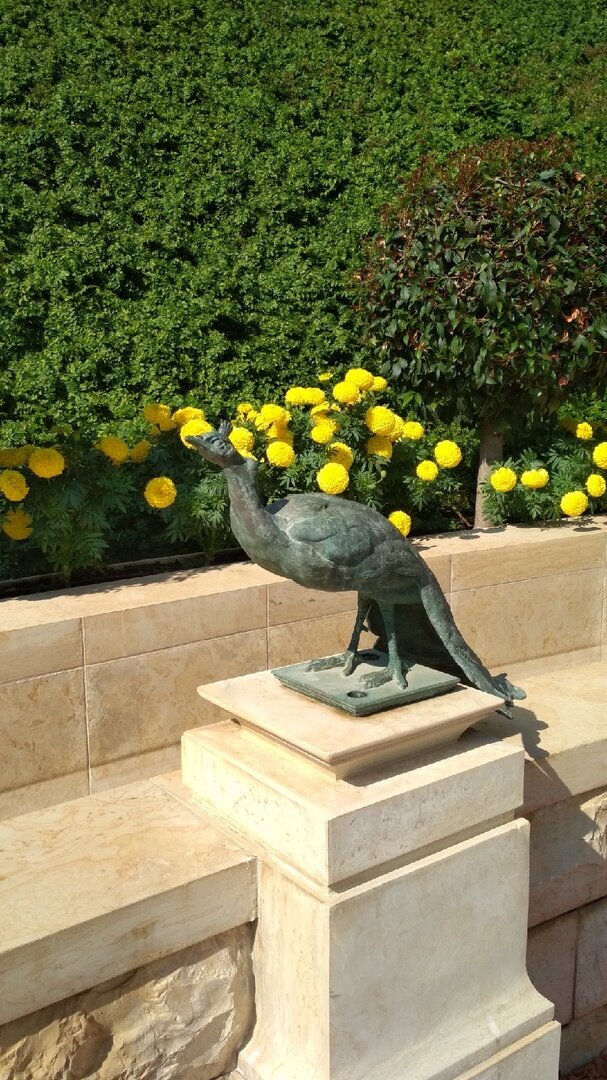 Статуя павлина в саду
