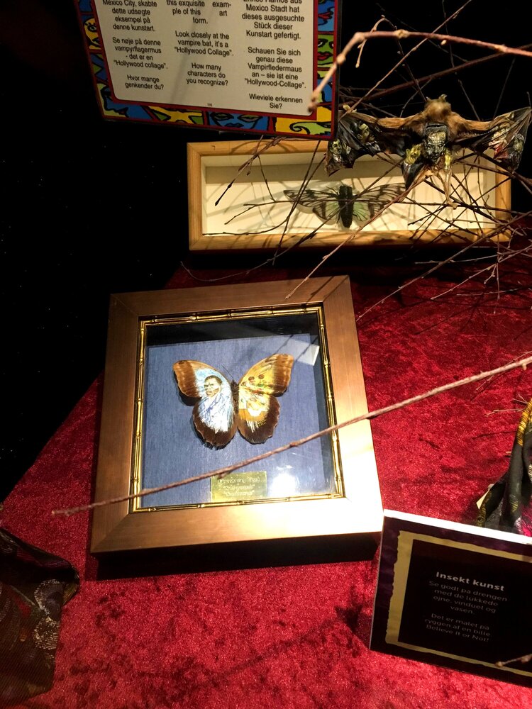 Портрет Винсента Ван Гога на крыле бабочки