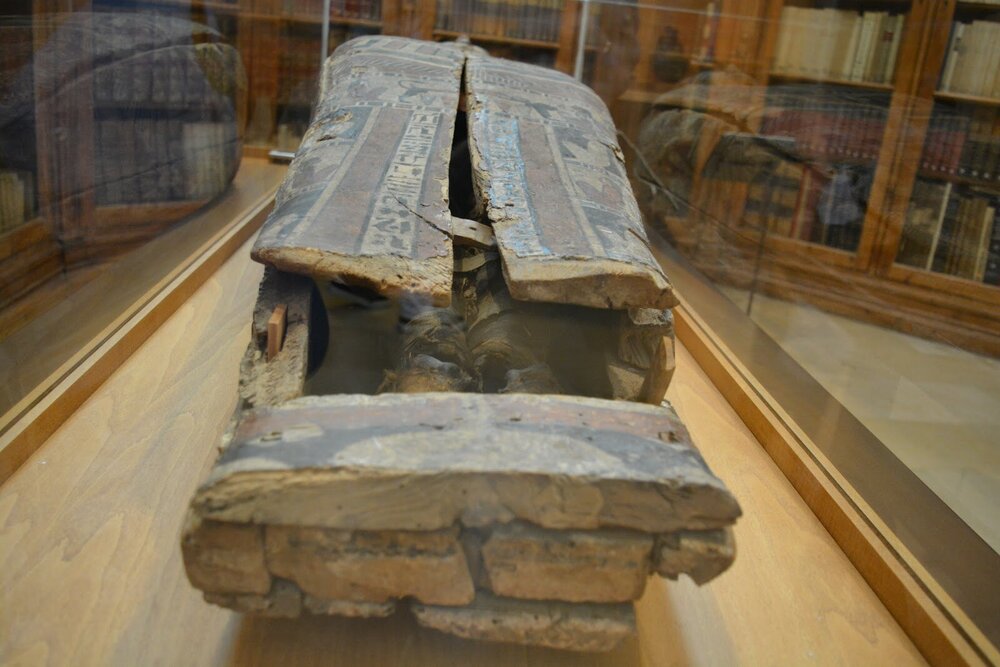 Экспонат музея. Египетский саркофаг с мумией внутри.