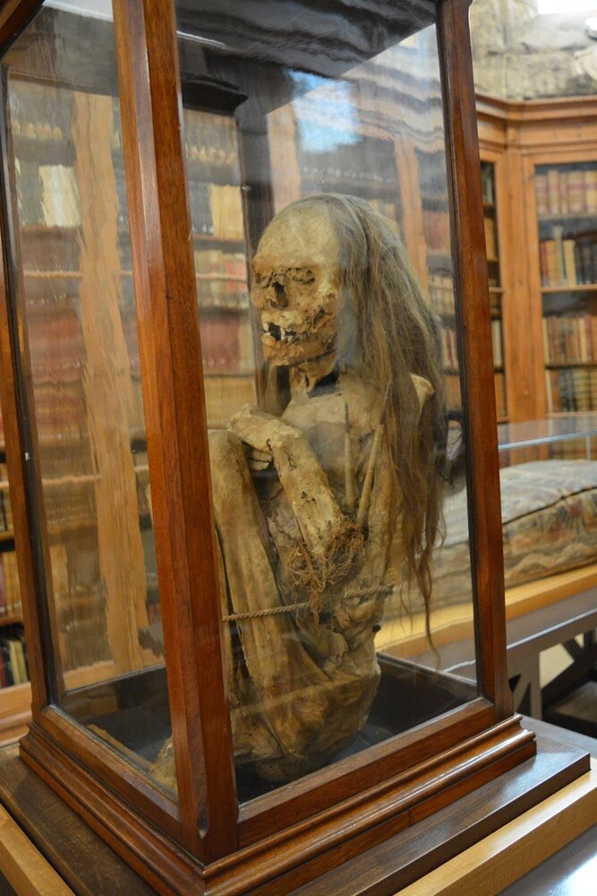 Экспонат музея, мумия из Перу