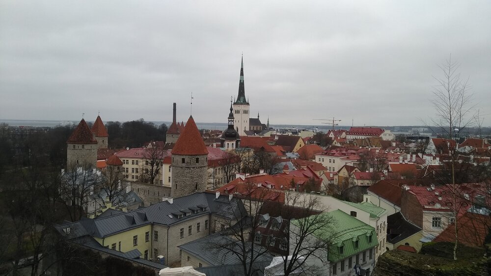 Вид на Таллин со смотровой Паткули