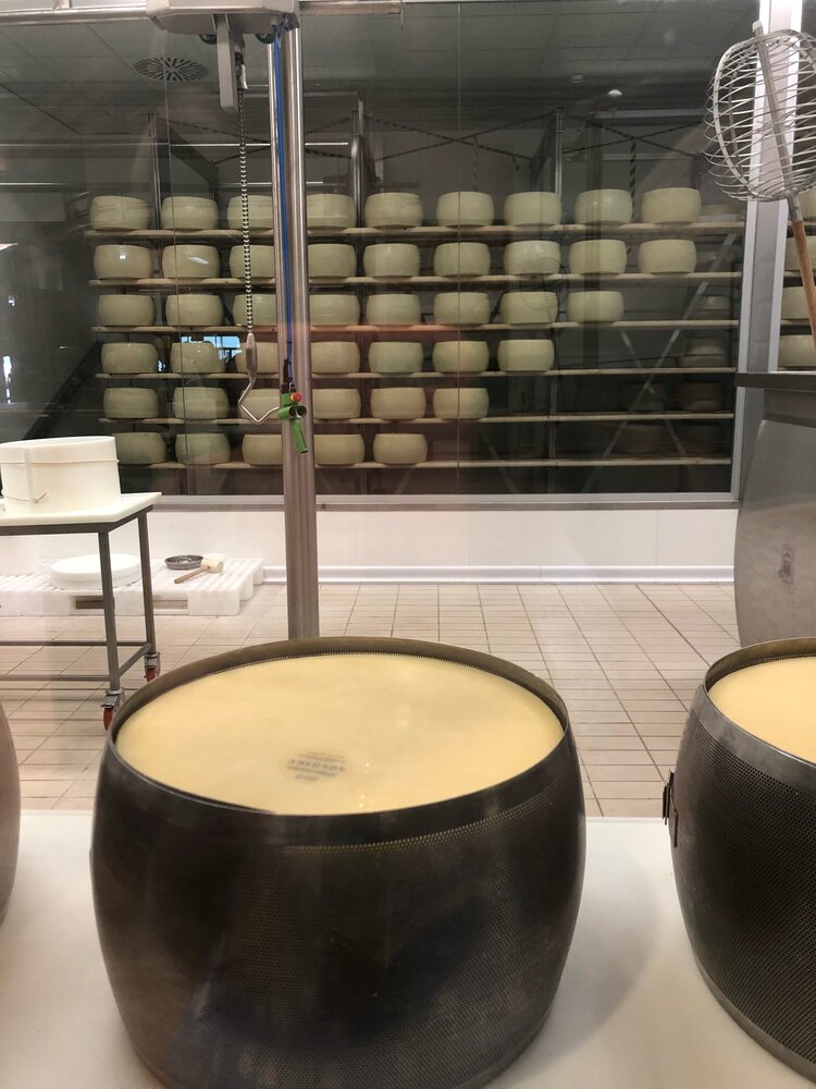 Сырная мини-фабрика. Прямо здесь сыр готовят, выдерживают и продают