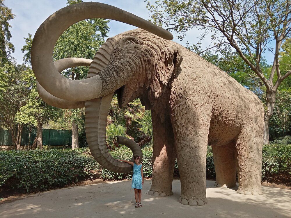 Скульптура мамонта в натуральную величину в парке Цитадели