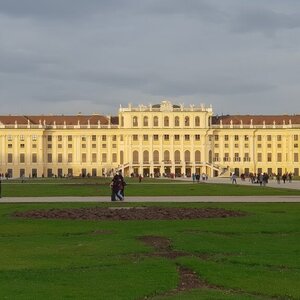 Вена: как посмотреть имперский город и сэкономить 