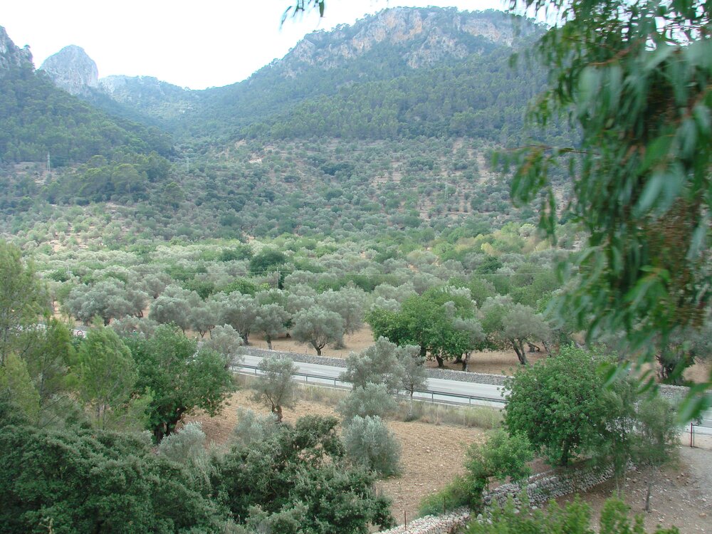 The road to Soller