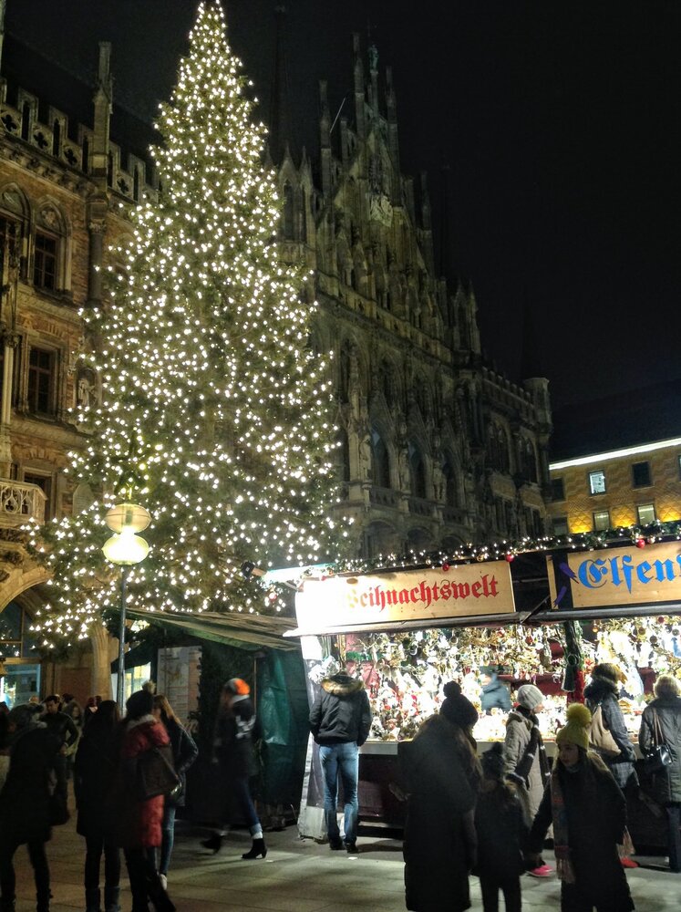 In the evening the Christmas tree on the central square shines with thousands of lights