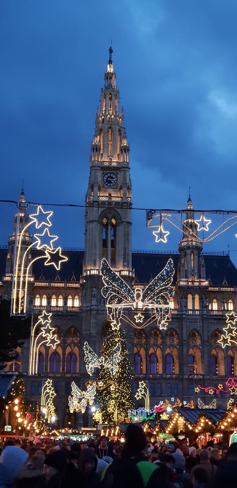 Christmas market at the Vienna City Hall