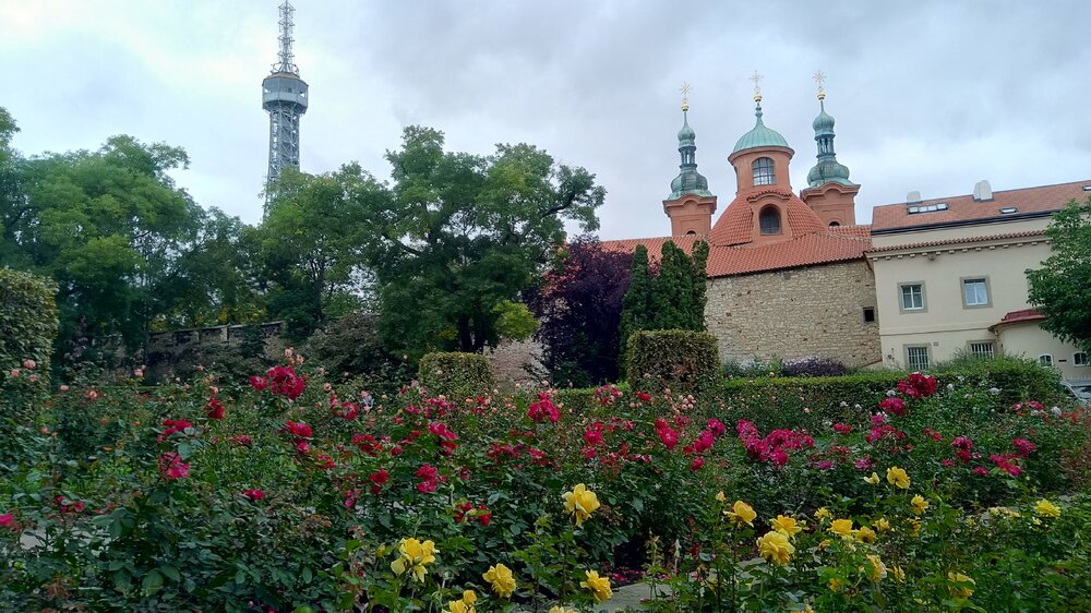 The rose garden on Petřín Hill